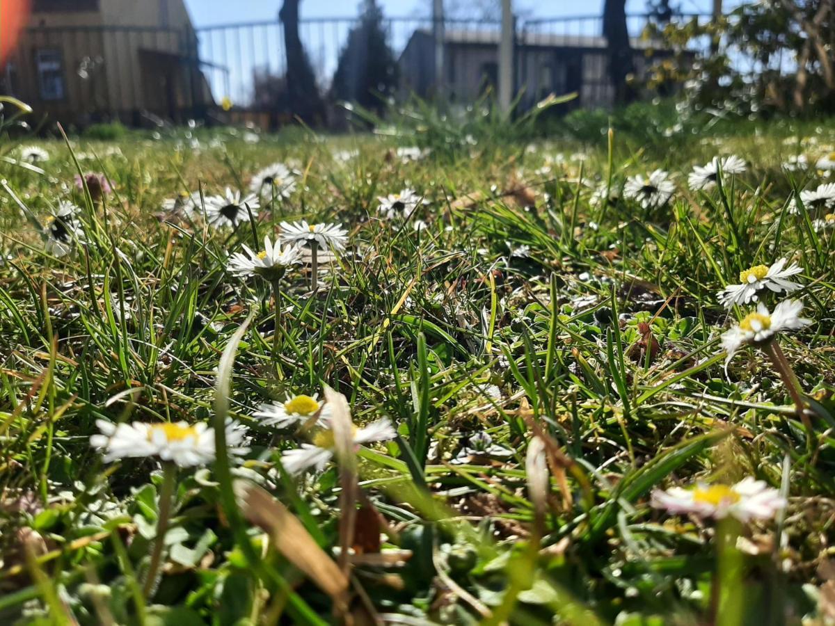 Gartenblick Trebbin Bagian luar foto