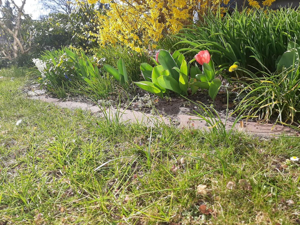 Gartenblick Trebbin Bagian luar foto